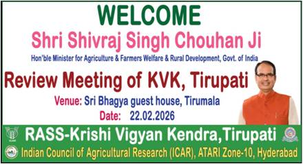 Impact of NICRA Activities